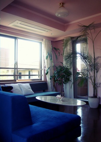3DSC07031_Fotor